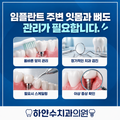 11bd9f65c99dc799db40a8e70f747ab9_1789542656_5978.png